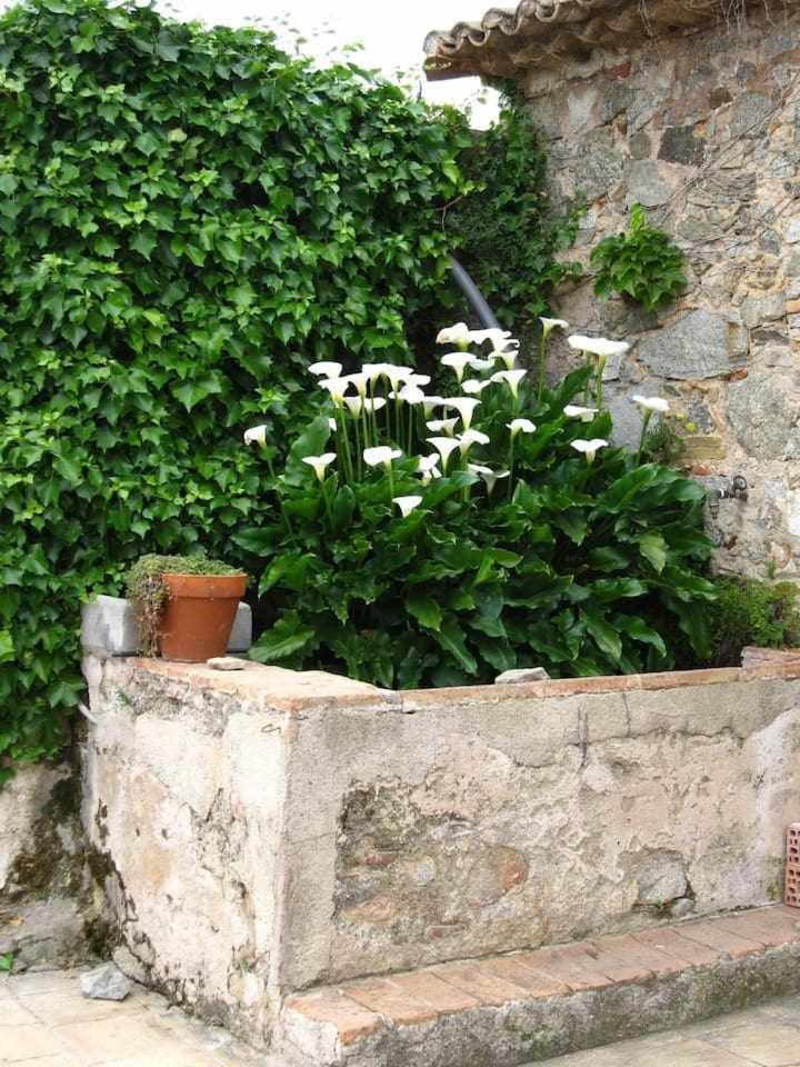 Tiana Ca Landreu Ecoturisme 빌라 외부 사진